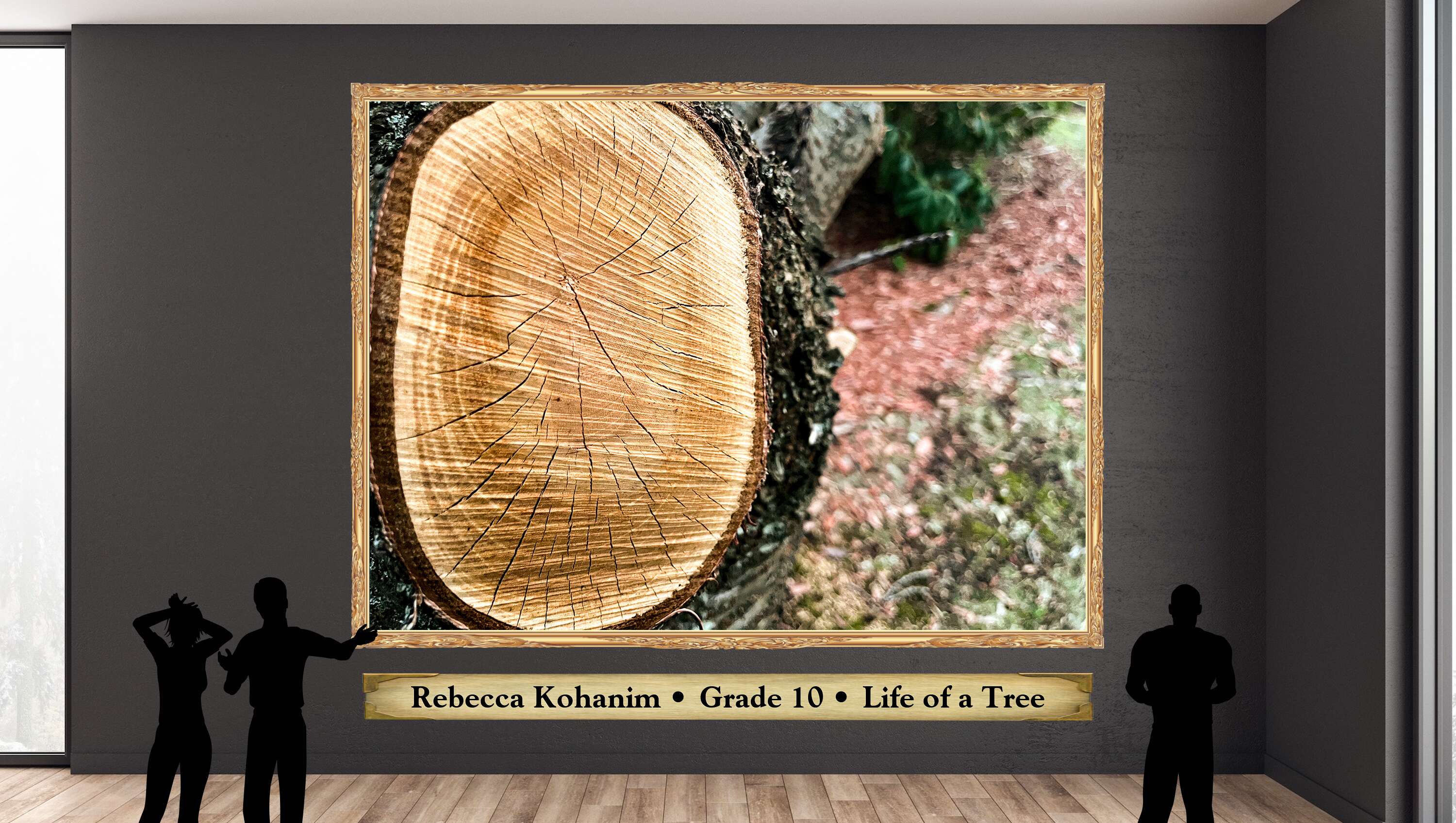 Rebecca Kohanim • Grade 10 • Life of a Tree