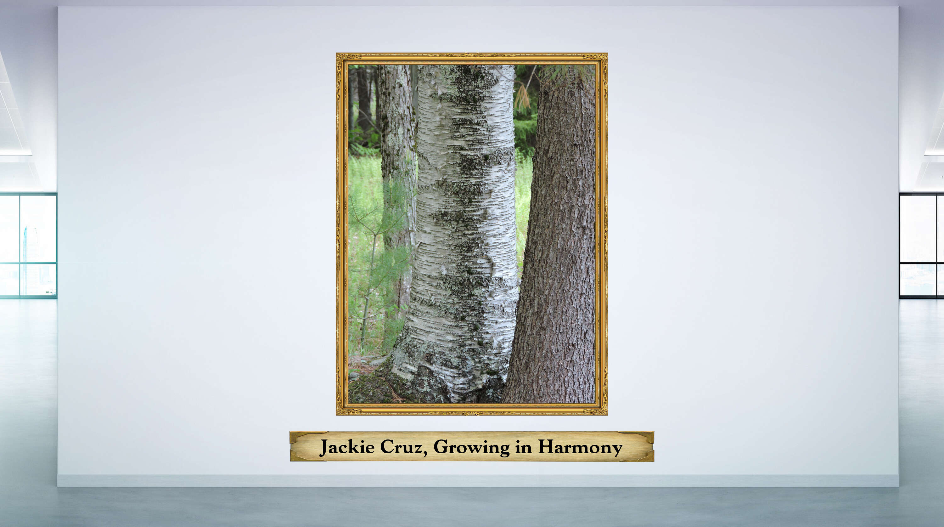 Jackie Cruz, Growing in Harmony